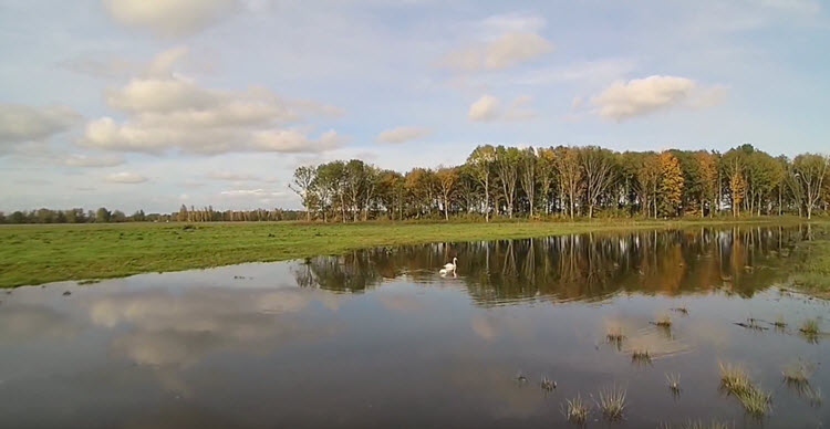 Noordwaardpolder gefilmd met Yuneec Typhoon Q500+ drone