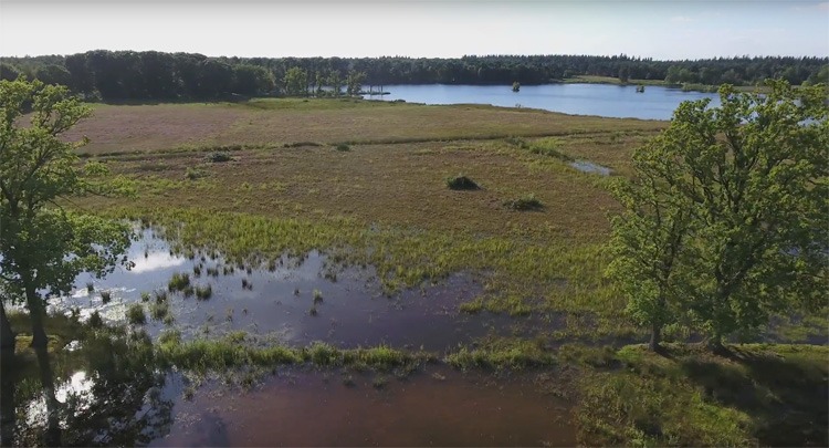 Galderse Heide bij Breda gefilmd met DJI Phantom 4