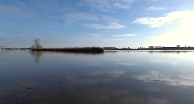 Natuurfilm de Avelinge gefilmd met Parrot Bebop drone