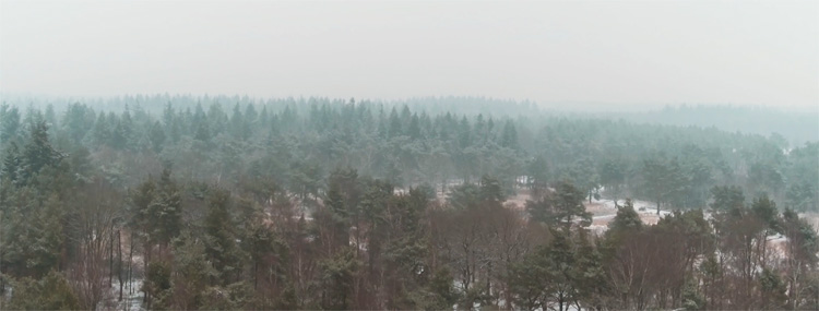 Een winters Mastbos Breda